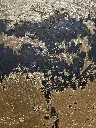 The Vault_ Through the ashes.webp